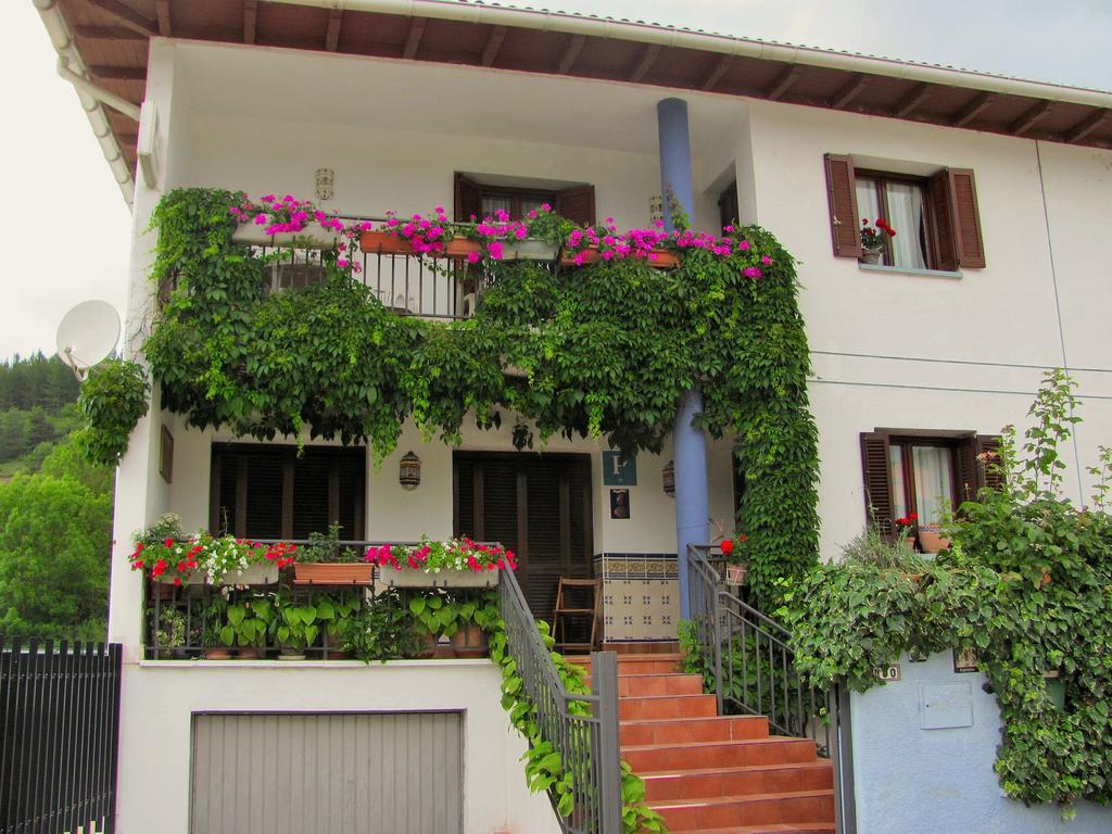 Pension El Peregrino De Larrasoana ภายนอก รูปภาพ