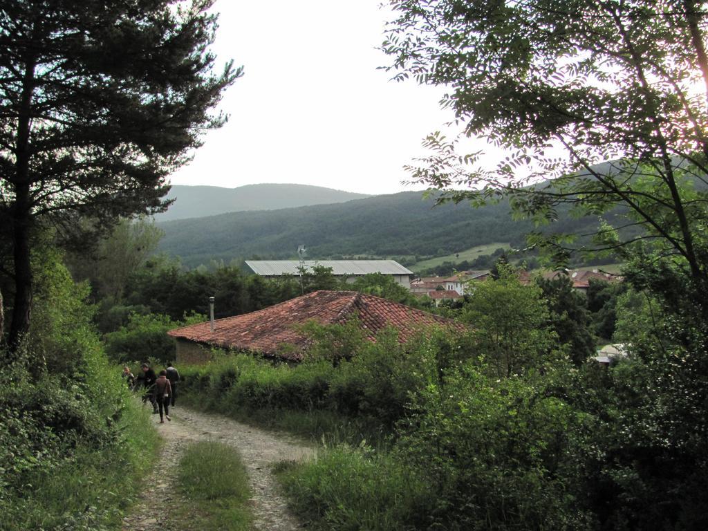 Pension El Peregrino De Larrasoana ภายนอก รูปภาพ